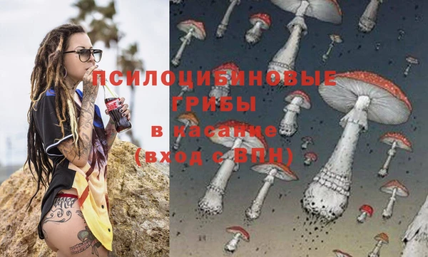 ПСИЛОЦИБИНОВЫЕ ГРИБЫ Верея