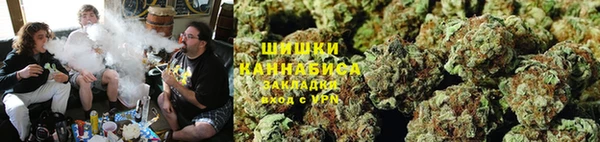 ПСИЛОЦИБИНОВЫЕ ГРИБЫ Верея