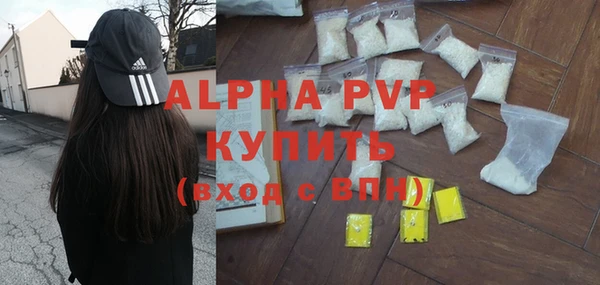 ПСИЛОЦИБИНОВЫЕ ГРИБЫ Верея