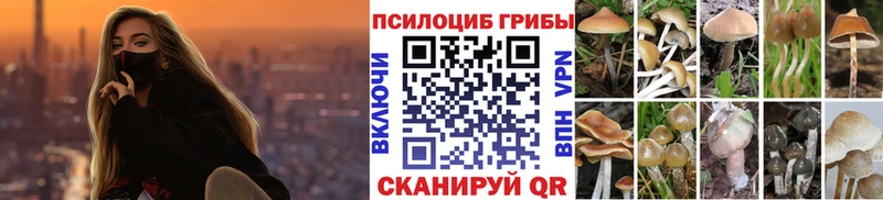 Купить закладки  Губаха  Псилоцибиновые грибы мицелий 